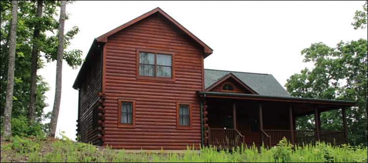 Professional Log Home Borate Application  Autryville,  North Carolina